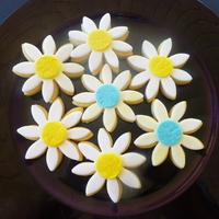 Daisies NFSC, fondant on top