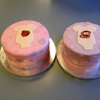Double Baby Shower Cakes! The one with the ladybug is a Italian Coconut Cream Cake with toasted coconut and coconut/pecan cream cheese filling. The one with the...
