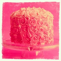 Pink Swirl Ombre Cake 