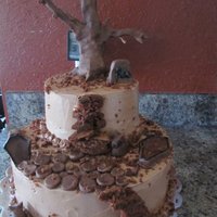 Chocolate Halloween Cake 