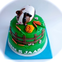 Guinea Pig Cake Guinea pig cake