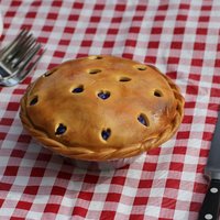 Blueberry Pie I had an extra cake layer in the freezer and my MIL was hosting her monthly card club get together, so I put this together after seeing the...