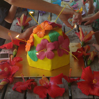 Hibiscus Flower Birthday Cake Emily made this for her daughters 7th birthday. The colours were very intense & the kids were all just amazed by it :-) It was her...