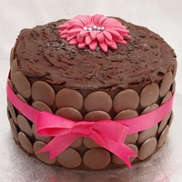 Pink Bow Chocolate Cake Handmade gerbera topper