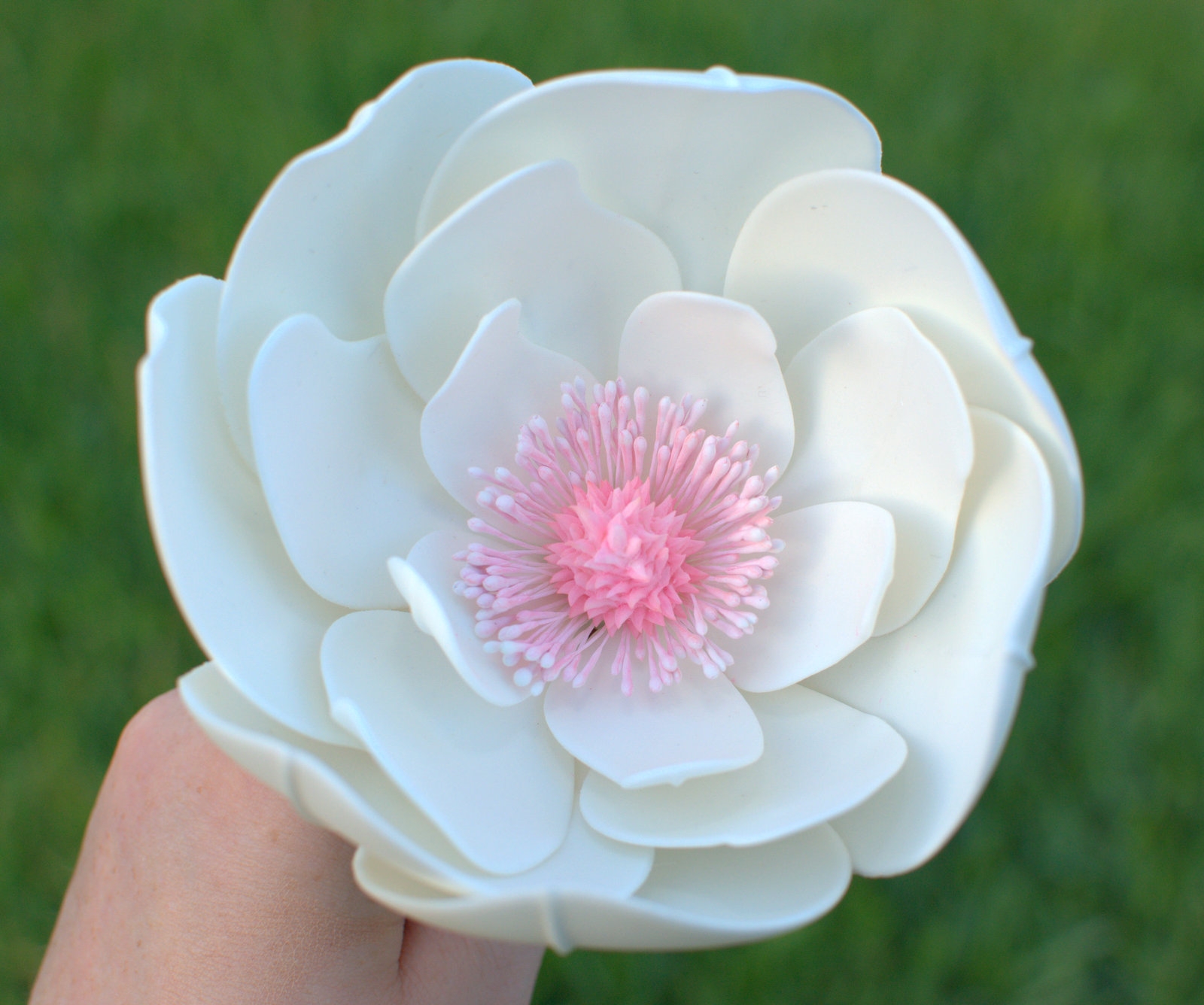 Magnolia Created By Sweet Temptations By Jen Magnolia created by Sweet Temptations by Jen