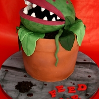 Little Shop Of Horrors! Little Shop of Horrors!