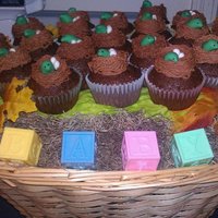 Baby Shower Cupcake Bouquet... This was for my husbands boss' daughters surprise baby shower. The color of the bird was to match the shower "color" per the...