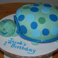 Turtle Birthday Cake turtle cake smade to match the birthday invitations