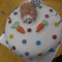 Hamster Cake Made for my daughter's 5th birthday to match her present - a new hamster!