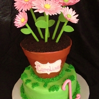 Flower Pot 1St Birthday Flower Pot cake with pink sugar gerber daisies.