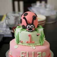 Ladybug Cake Pink ladybug cake that I made for Ella's 1st birthday!