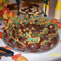 Fall Cupcakes 