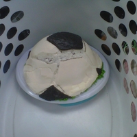 Melted Soccer Ball