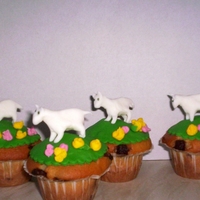 Lamb Cupcakes Cupcakes topped with green fondant and handmade little lambs for a springtime touch.