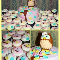 Owl Cake And Cupcakes 
