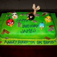 Angry Birds This is an ANGRY BIRDS Birthday cake made with white cake, french vanilla buttercream, and marshmallow fondant. It is air-brushed, and each...