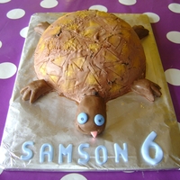 Ice-Cream Turtle chocolate icecream with strawberry icecream centre & fondant head/limbs