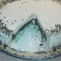 Ice Cream Cake This is an Ice cream cake I wanted to try. I have always love DQ's cakes. So, I wanted to do one myself. This is a vanilla/mint...