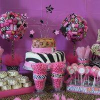 Zebra And Leopard Print Cake zebra and leopard print cake for a 5 yo birthday