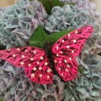 Eight Vanilla Cupcakes Make Up This Two Toned Hydrangea Cupcake Bouquet EIght Vanilla cupcakes make up this two toned Hydrangea cupcake bouquet.