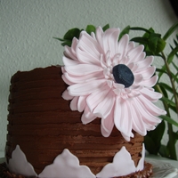Birthday Cake Pound cake with blueberry- and whit/dark chocoolate creme