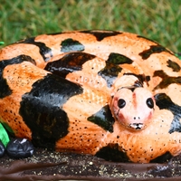 Constrictor Boa Cake This cake was for such a sweet kid turning 9 y/0, Ian, who was absolutely positive that I could make a cake snake that looked like a Red...