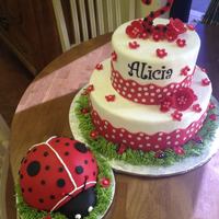 21756 10151325215247104 2067704544 N *