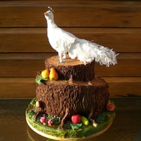 Ornamental Pigeon On A Tree-Trunk Hello everyone,I have around my house in Holland a lot of trees and pigeons, so i had a special idea: let's make a topsy turvy cake in...