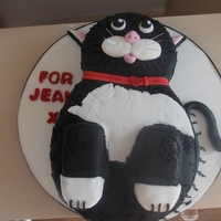 Cat Cake 