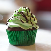 Mint Chocolate Chip Cupcakes Mint Chocolate Chip Cupcakes