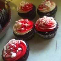 Chocolate Cupcakes With Peppermint Icing These were such a hit at our neighbor's Christmas party. I loved the way the two toned swirl came out! Delicious!