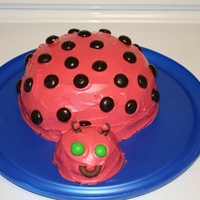 Ladybug The body of the cake was baked in a large glass bowl and the head is a cupcake. Face is made with round pretzels and green M&Ms. Black...