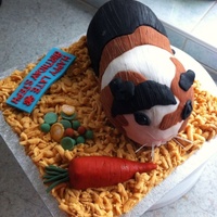 A Late Birthday Cake For A Cute Animal Fan A late birthday cake for a cute animal fan!