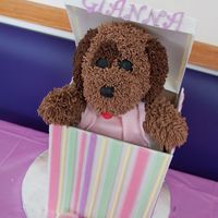 My Daughters Birthday Cake The Dog Fur Is Fondant It Took Me 10 Hours To Do The Head My daughters birthday cake. The dog "fur" is fondant. It took me 10 hours to do the head!