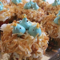 Baby Birds! Toasted coconut "nests", buttercream baby birds. Inspired by Martha Stewart.