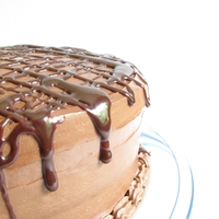 Triple Chocolate Cake Chocolate cake, chocolate frosting, and chocolate ganache drizzle. Now that's what I call a triple threat!