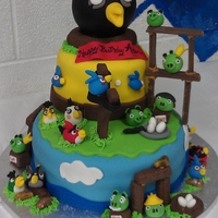 Angry Birds Cake Here's my attempt at an angry birds cake made for my son's 7th birthday. this cake was interactive. My son used a slingshot and...