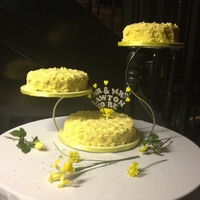 3 Tier Engagement Cake With Butter Cream Roses Buttercream rose 3 tier engagement cake. Bottom layer is red velvet, middle is vanilla and top is lemon.