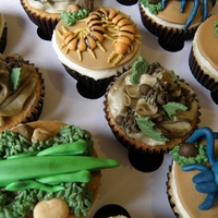Bug Cupcakes I was asked to make these for a friend who'd just returned from a three month tour of South America.
