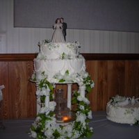 Wedding Cake Mom and I did this one together