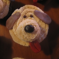 Alex's Reeses Pupcakes My son saw pictures of these in the galleries here on CC and wanted them for his birthday today. Thanks for the cute idea! He loves them...