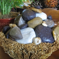 Cake Stones