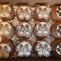 Meow Chocolate cupcakes, with chocolate SMBC, and tops done with the chocolate transfer method.