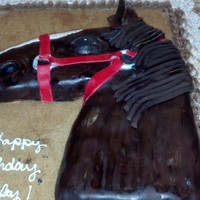 For The Horse Loving 20 Year Old For the horse loving 20 year old