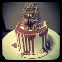 My 8 Yo Birthday Cake Hamster My 8 y/o birthday cake #hamster