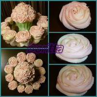 A Giant Cupcake With Some Regular Size Cupcakes That I Made To My Mom On Her Birthday A giant cupcake with some regular size cupcakes that I made to my Mom on her birthday