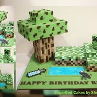 Minecraft A Minecraft cake for my son, with over 1,000 hand cut squares!