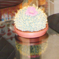 Cactus A cake I made many years ago. I created the round shape using two pyrex bowls. The cake was yellow with butter cream icing in the filling...