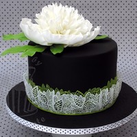 Black And White With Peony 