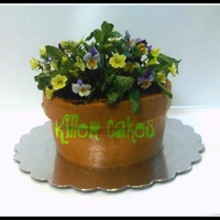 Mothers Day Flower Pot Cake Cake Is Orange Creamsicle Yum Iced Completly In Buttercream With Oreo Dirt And Fresh Edible Flowers Thanks Mothers Day Flower Pot Cake. Cake is Orange Creamsicle, YUM! Iced completly in buttercream with oreo "dirt" and fresh edible...